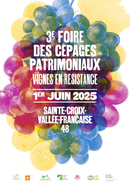 foire aux vins