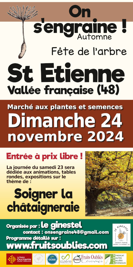 Fête de l'arbre 2024