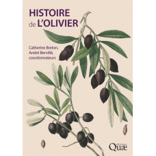 Histoire de l'olivier