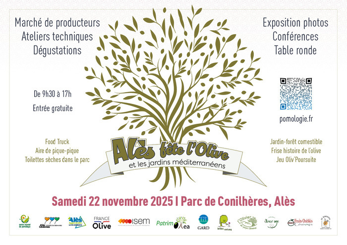 FDLOlive Alès FDLOlive Alès